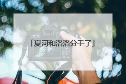 夏河和洛洛分手了