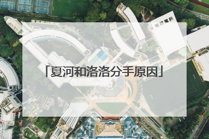 夏河和洛洛分手原因