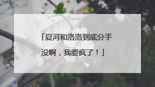 夏河和洛洛到底分手没啊,我要疯了!