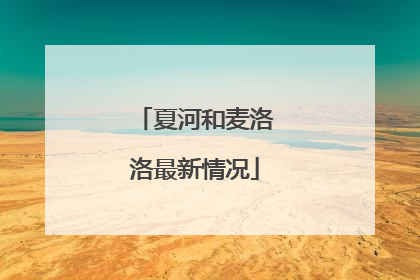 夏河和麦洛洛最新情况