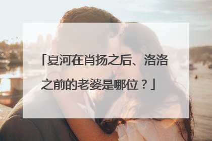 夏河在肖扬之后、洛洛之前的老婆是哪位?