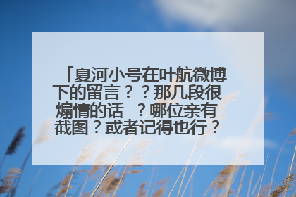 夏河小号在叶航微博下的留言??那几段很煽情的话 ?哪位亲有截图?或者记得也行?请告诉我。谢谢