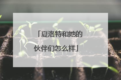 夏洛特和她的伙伴们怎么样
