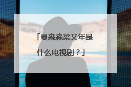夏淼淼梁又年是什么电视剧？
