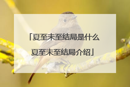 夏至未至结局是什么 夏至未至结局介绍