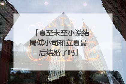 夏至未至小说结局傅小司和立夏最后结婚了吗