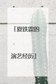 夏铁霖的演艺经历