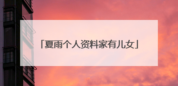 夏雨个人资料家有儿女