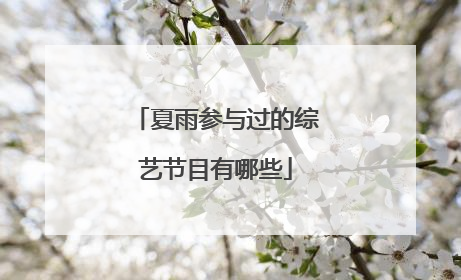 夏雨参与过的综艺节目有哪些