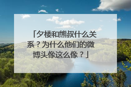 夕楼和熊叔什么关系？为什么他们的微博头像这么像？