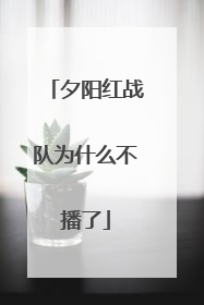 夕阳红战队为什么不播了