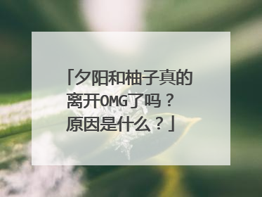 夕阳和柚子真的离开OMG了吗？原因是什么？