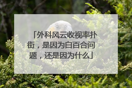 外科风云收视率扑街，是因为白百合问题，还是因为什么