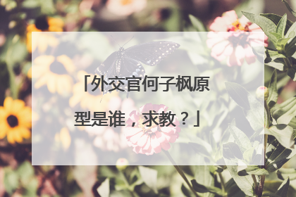 外交官何子枫原型是谁,求教?