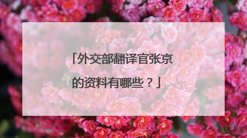 外交部翻译官张京的资料有哪些?