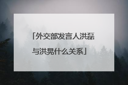 外交部发言人洪磊与洪晃什么关系