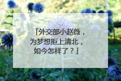 外交部小赵薇,为梦想拒上清北,如今怎样了?