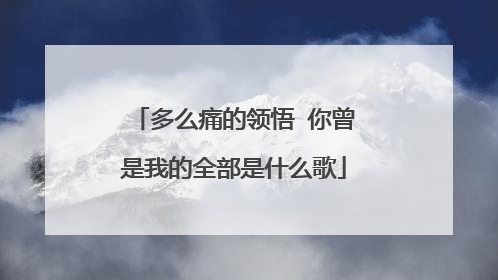 多么痛的领悟 你曾是我的全部是什么歌