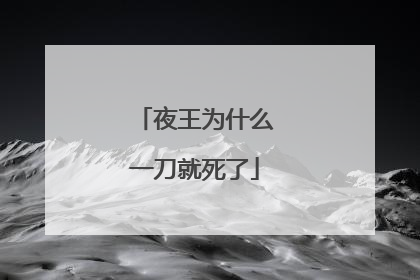 夜王为什么一刀就死了