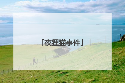 夜狸猫事件