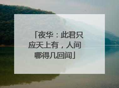 夜华：此君只应天上有，人间哪得几回闻