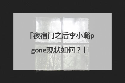 夜宿门之后李小璐pgone现状如何？
