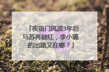 夜宿门风波3年后马苏再翻红，李小璐的出路又在哪？