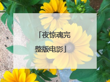 夜惊魂完整版电影