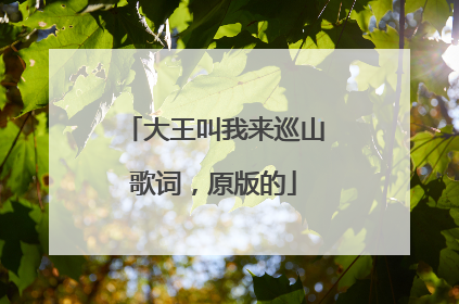 大王叫我来巡山歌词,原版的