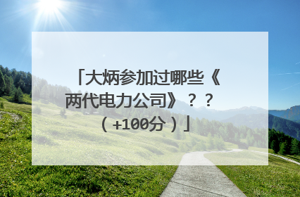 大炳参加过哪些《两代电力公司》??(+100分)