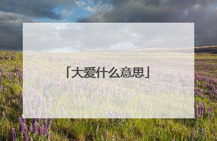 大爱什么意思