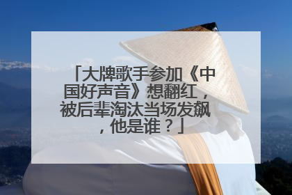大牌歌手参加《中国好声音》想翻红，被后辈淘汰当场发飙，他是谁？
