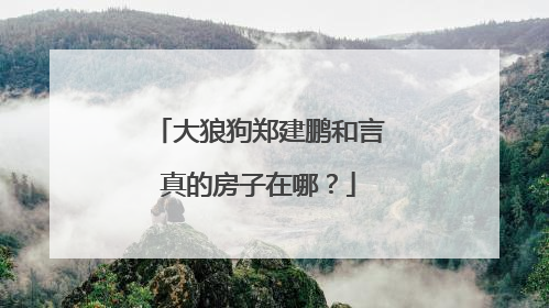 大狼狗郑建鹏和言真的房子在哪？