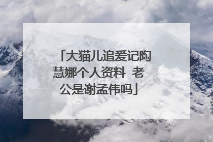 大猫儿追爱记陶慧娜个人资料 老公是谢孟伟吗