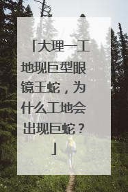 大理一工地现巨型眼镜王蛇，为什么工地会出现巨蛇？