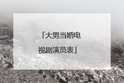 大男当婚电视剧演员表