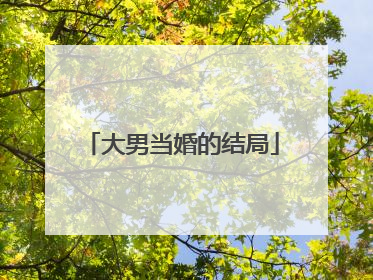 大男当婚的结局