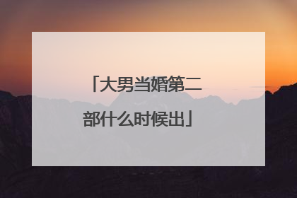 大男当婚第二部什么时候出