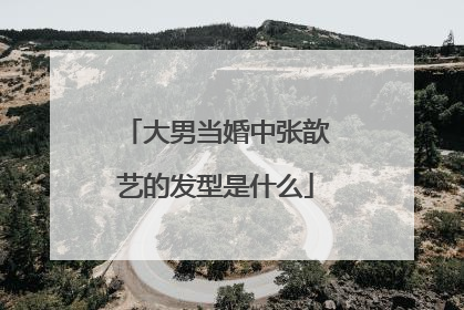 大男当婚中张歆艺的发型是什么