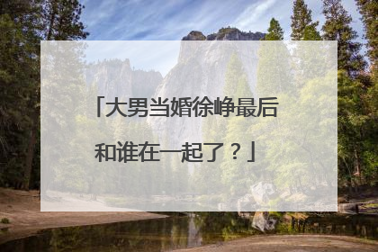 大男当婚徐峥最后和谁在一起了？