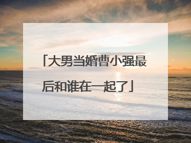 大男当婚曹小强最后和谁在一起了