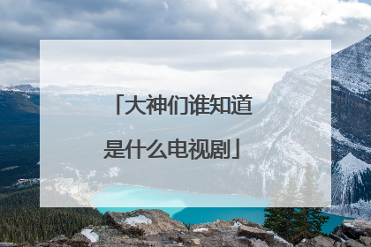 大神们谁知道是什么电视剧