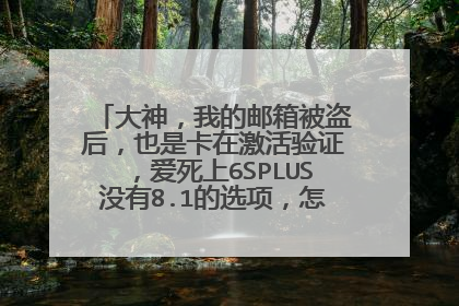 大神,我的邮箱被盗后,也是卡在激活验证,爱死上6SPLUS没有8.1的选项,怎么弄啊?求教