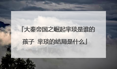 大秦帝国之崛起芈琰是谁的孩子 芈琰的结局是什么