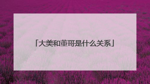 大美和董哥是什么关系