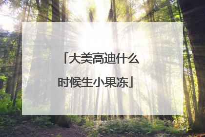 大美高迪什么时候生小果冻