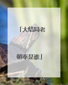 大结局老朝奉是谁