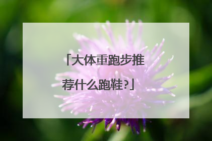 大体重跑步推荐什么跑鞋?