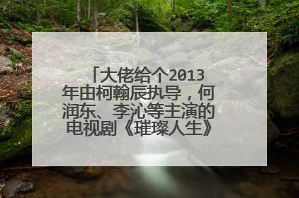 大佬给个2013年由柯翰辰执导,何润东、李沁等主演的电视剧《璀璨人生》百度网盘资源吗