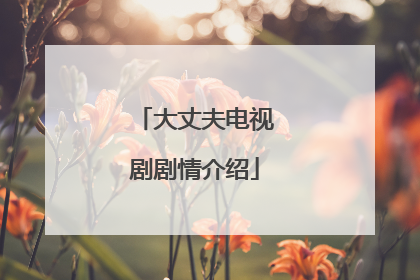 大丈夫电视剧剧情介绍